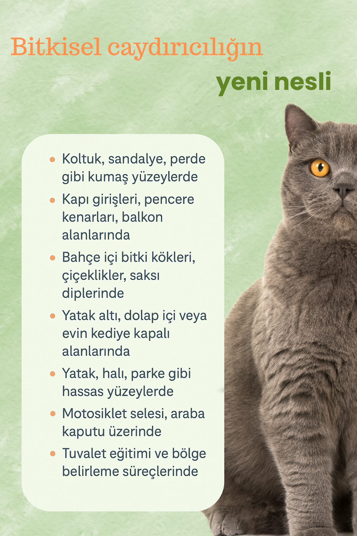 Kedi Uzaklaştırıcı Eğitim Spreyi Organik Bitkisel Yağlı Caydırıcı, Kovucu